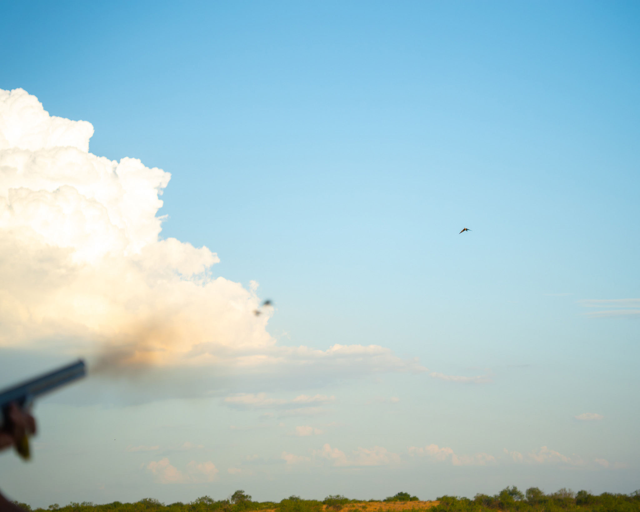 Dove hunting at El Puerto Ranch