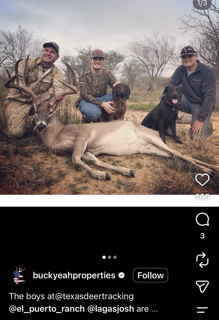 Hunters with a Texas whitetail buck and their dogs