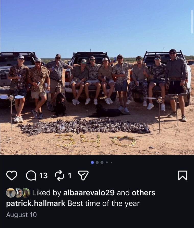 Group dove hunt with the day's harvest